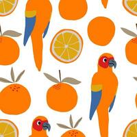 Parrots and oranges pattern on white background. Tropical pattern. vector