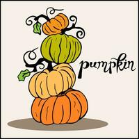 stack of four orange pumpkins with leaves, vector illustration. Harvest time. pumpkins for Halloween. Farm vegetables.