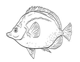 Blacknosed butterflyfish or barberfish Side View Cartoon Drawing vector