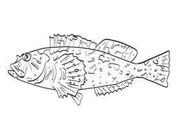 Cabezon rockfish Side View Cartoon Drawing vector