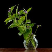 Flowers in a small glass vase on the black background photo