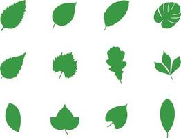 A collection of leaf shapes for artwork compositions vector