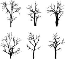 un vector colección de Delgado escalofriante arboles para obra de arte composiciones y antecedentes