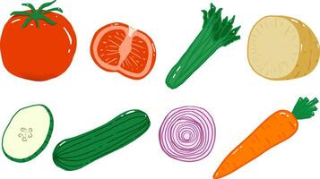 Vegetables set hand drawn, Vegetables slices, tomato, potato, cucumber, onion slices, carrot vector