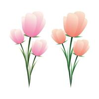 vector conjunto de vistoso tulipanes