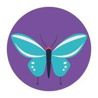 A beautiful flying insect, butterfly vector