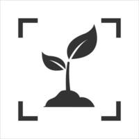 Vector illustration of plant focus icon in dark color and white background