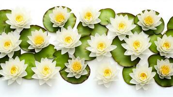 Water Lily flower patterned background. Flower texture background. Generative AI photo