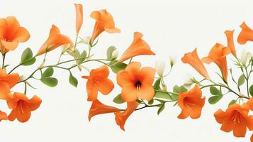 Trumpet flower patterned background. Flower texture background. Generative AI photo