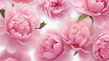 Peony flower patterned background. Flower texture background. Generative AI photo