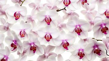 Orchid flower patterned background. Flower texture background. Generative AI photo