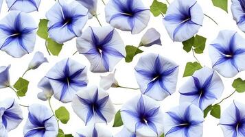 Morning Glory flower patterned background. Flower texture background. Generative AI photo