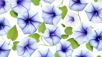 Morning Glory flower patterned background. Flower texture background. Generative AI photo