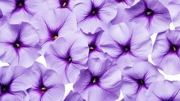 petunia flor estampado antecedentes. flor textura antecedentes. generativo ai foto