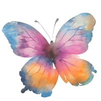 butterfly clip art png