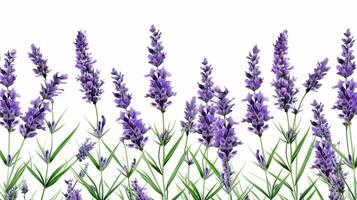 Lavender flower patterned background. Flower texture background. Generative AI photo