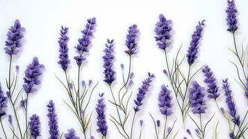 Lavender flower patterned background. Flower texture background. Generative AI photo