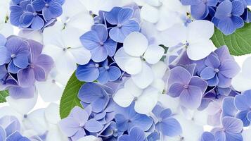 Hydrangea flower patterned background. Flower texture background. Generative AI photo