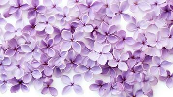 Lilac flower patterned background. Flower texture background. Generative AI photo