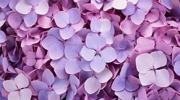 Hydrangea flower patterned background. Flower texture background. Generative AI photo