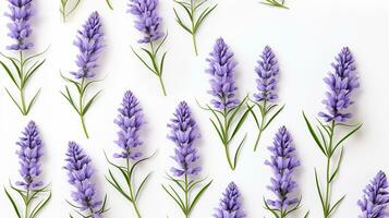 Lavender flower patterned background. Flower texture background. Generative AI photo