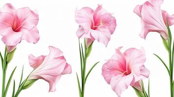 Gladiolus flower patterned background. Flower texture background. Generative AI photo