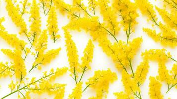 Goldenrod flower patterned background. Flower texture background. Generative AI photo