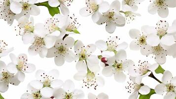 Hawthorn flower patterned background. Flower texture background. Generative AI photo