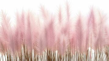Fountain Grass flower patterned background. Flower texture background. Generative AI photo