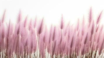 Fountain Grass flower patterned background. Flower texture background. Generative AI photo