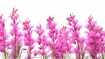 Fireweed flower patterned background. Flower texture background. Generative AI photo