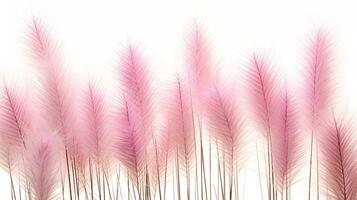 Fountain Grass flower patterned background. Flower texture background. Generative AI photo