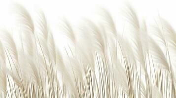 Feather Reed Grass flower patterned background. Flower texture background. Generative AI photo