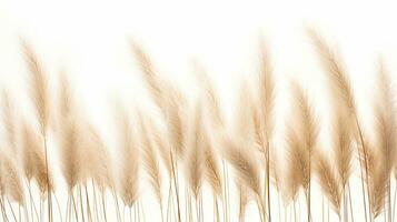 Feather Reed Grass flower patterned background. Flower texture background. Generative AI photo