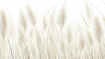 Feather Reed Grass flower patterned background. Flower texture background. Generative AI photo