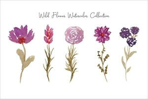 purple wild flower and leaf watercolor vector