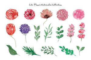 Beautiful Flower and Leaf Watercolor Collection vector