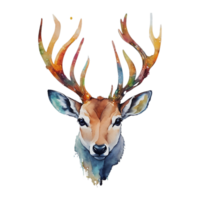 Reindeer head watercolor png