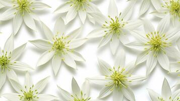 Edelweiss flower patterned background. Flower texture background. Generative AI photo