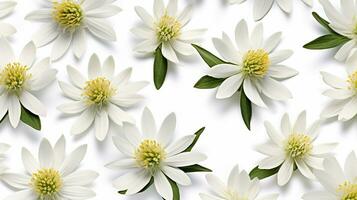 Edelweiss flower patterned background. Flower texture background. Generative AI photo