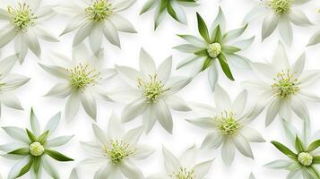 Edelweiss flower patterned background. Flower texture background. Generative AI photo