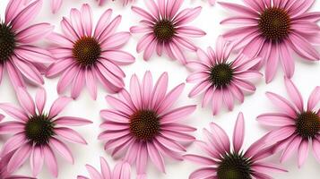 Echinacea flower patterned background. Flower texture background. Generative AI photo