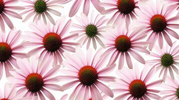 Echinacea flower patterned background. Flower texture background. Generative AI photo