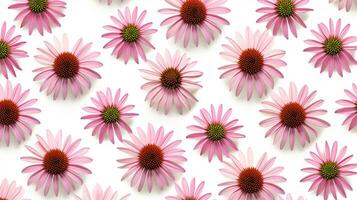 Echinacea flower patterned background. Flower texture background. Generative AI photo