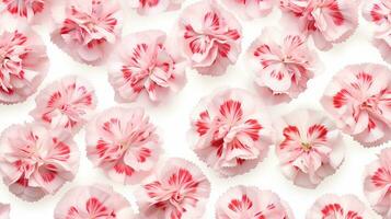 Dianthus flower patterned background. Flower texture background. Generative AI photo