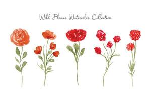 red wild flower and leaf watercolor vector