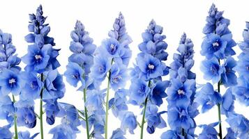 Delphinium flower patterned background. Flower texture background. Generative AI photo