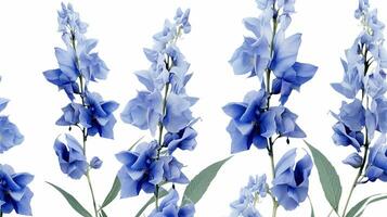 Delphinium flower patterned background. Flower texture background. Generative AI photo