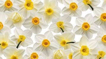 Daffodil flower patterned background. Flower texture background. Generative AI photo