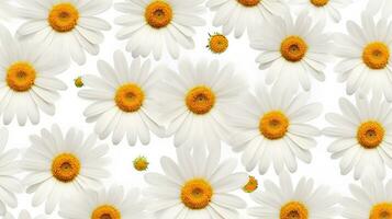 Daisy flower patterned background. Flower texture background. Generative AI photo